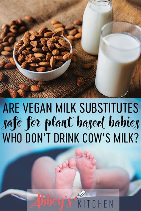 What do vegans feed their babies newborn